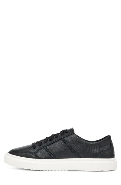 Shop Ugg Alameda Sneaker In Black