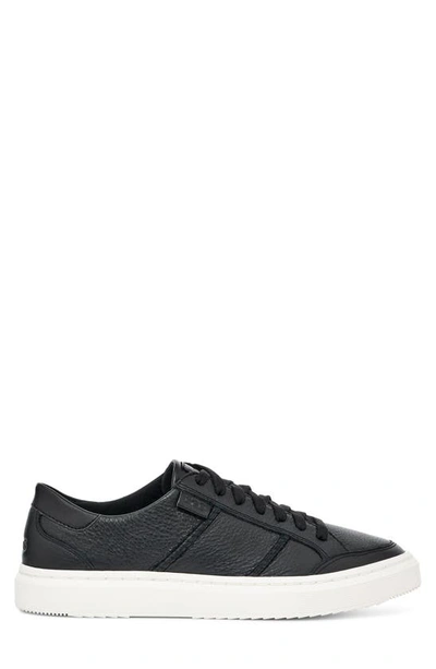 Shop Ugg Alameda Sneaker In Black