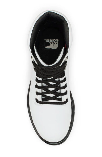 Shop Sorel Lennox Waterproof Lace-up Boot In White/ Black