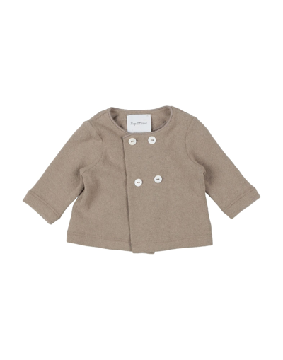 Shop Le Petit Coco Newborn Girl Cardigan Khaki Size 1 Cotton, Synthetic Fibers, Elastane, Viscose, Polyes In Beige