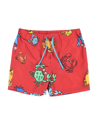 Shop Dolce & Gabbana Newborn Boy Swim Trunks Red Size 3 Polyester