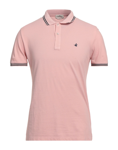 Shop Brooksfield Man Polo Shirt Light Pink Size 36 Cotton