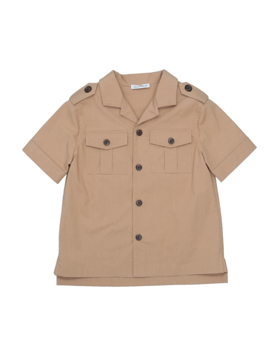 Shop Dolce & Gabbana Toddler Boy Shirt Camel Size 7 Cotton, Elastane In Beige