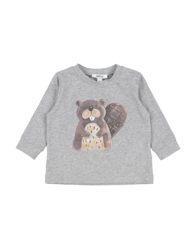 Shop Aletta Newborn Boy T-shirt Grey Size 3 Cotton, Elastane