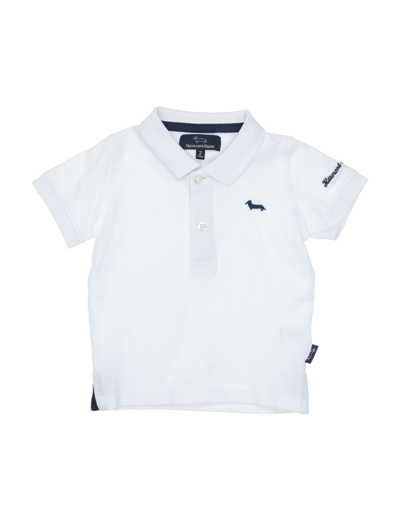 Shop Harmont & Blaine Polo Shirts In White
