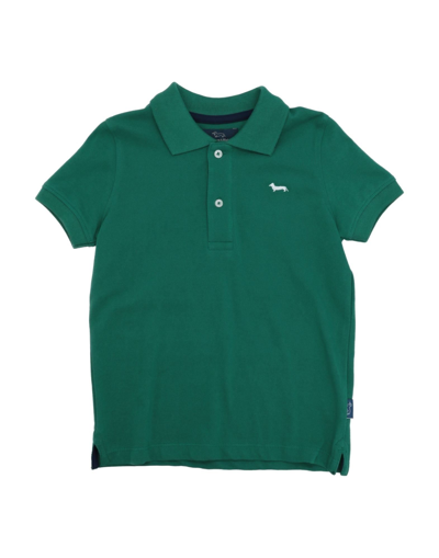 Shop Harmont & Blaine Man Polo Shirt Dark Green Size 6 Cotton