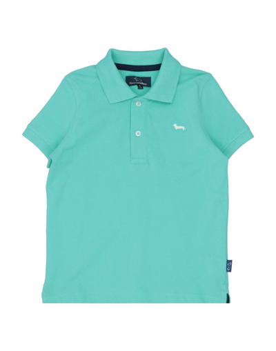 Shop Harmont & Blaine Man Polo Shirt Light Green Size 6 Cotton
