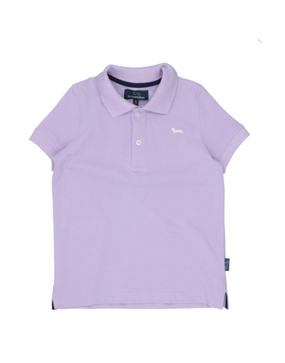 Shop Harmont & Blaine Man Polo Shirt Lilac Size 6 Cotton In Purple