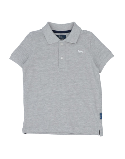 Shop Harmont & Blaine Man Polo Shirt Light Grey Size 6 Cotton