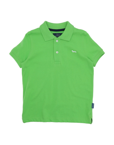 Shop Harmont & Blaine Man Polo Shirt Acid Green Size 6 Cotton