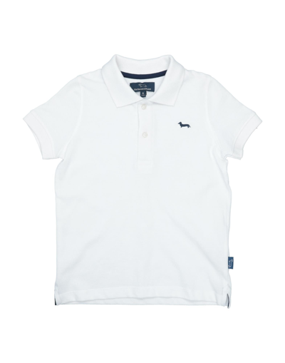 Shop Harmont & Blaine Man Polo Shirt White Size 6 Cotton