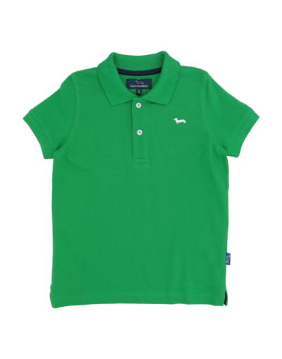 Shop Harmont & Blaine Man Polo Shirt Green Size 6 Cotton
