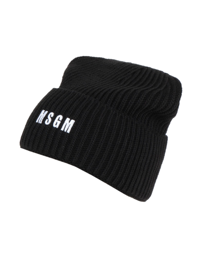 Shop Msgm Hats In Black