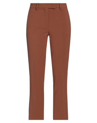 Shop Nora Barth Woman Pants Brown Size 8 Polyester