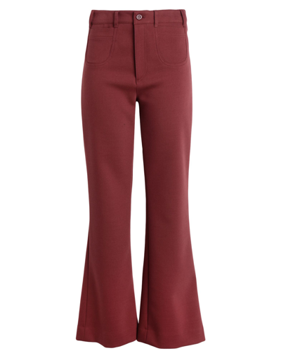 Shop See By Chloé Woman Pants Brick Red Size 8 Cotton, Polyester, Wool, Elastane