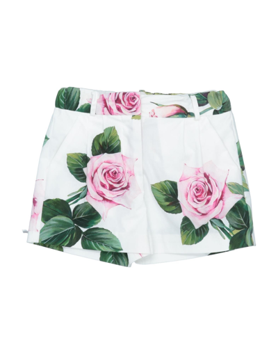 Shop Dolce & Gabbana Newborn Girl Shorts & Bermuda Shorts Ivory Size 3 Cotton In White