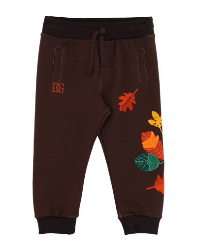 Shop Dolce & Gabbana Newborn Boy Pants Cocoa Size 3 Cotton, Elastane, Polyester, Viscose In Brown