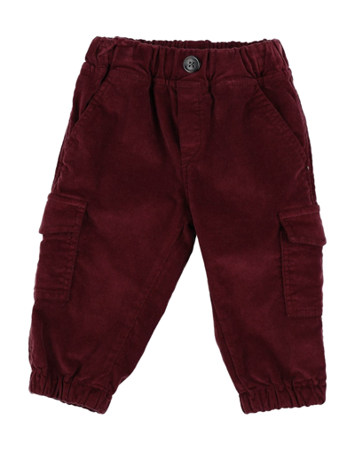 Shop Aletta Newborn Boy Pants Burgundy Size 3 Cotton, Elastane In Red