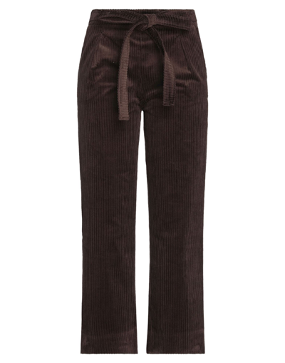 Shop Bagutta Woman Pants Dark Brown Size Xs Cotton, Elastane