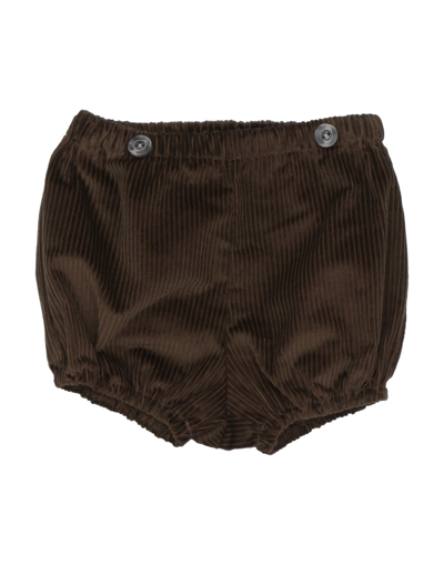 Shop Aletta Newborn Boy Shorts & Bermuda Shorts Brown Size 3 Cotton