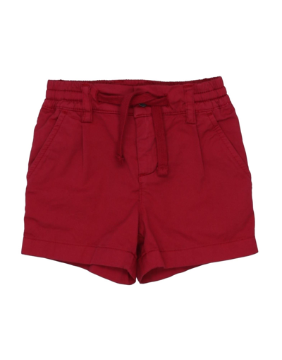 Shop Dolce & Gabbana Newborn Boy Shorts & Bermuda Shorts Burgundy Size 3 Cotton In Red
