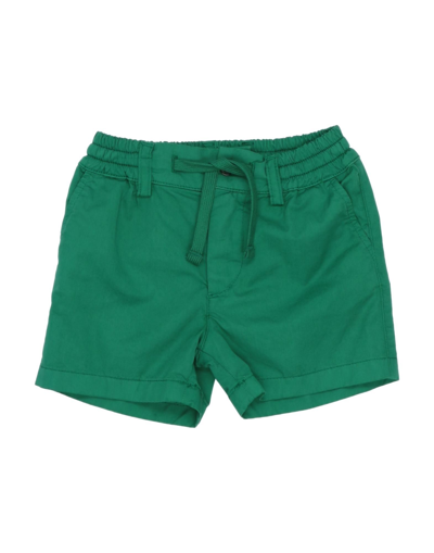 Shop Dolce & Gabbana Shorts & Bermuda Shorts In Green