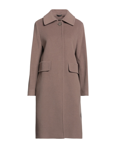 Shop Cinzia Rocca Woman Coat Light Brown Size 10 Wool, Polyamide, Cashmere In Beige