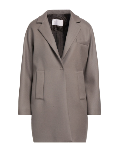 Shop Annie P . Woman Coat Dove Grey Size 10 Virgin Wool