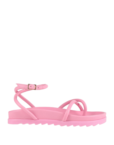 Shop Chiara Ferragni Woman Thong Sandal Pink Size 8 Textile Fibers