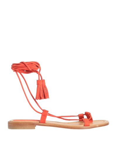 Shop Dondup Woman Thong Sandal Orange Size 10 Soft Leather