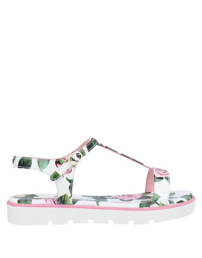 Shop Dolce & Gabbana Toddler Girl Sandals White Size 9.5c Soft Leather