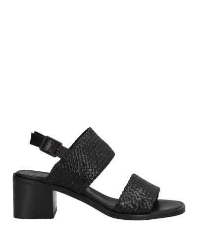 Shop Marco Ferretti Woman Sandals Black Size 6 Soft Leather