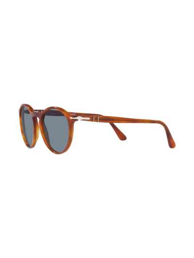 Shop Persol Po3285s Pantos Sunglasses In Braun