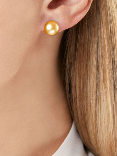 Shop Yoko London 18kt Yellow Gold Classic 11mm Golden South Sea Pearl Stud Earrings