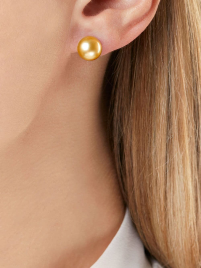 Shop Yoko London 18kt Yellow Gold Classic 9mm Golden South Sea Pearl Stud Earrings
