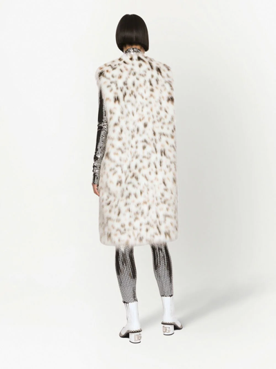 Shop Dolce & Gabbana Leopard Print Faux-fur Gilet In Weiss