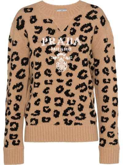 Shop Prada Leopard Pattern Crew Neck Jumper In Brown