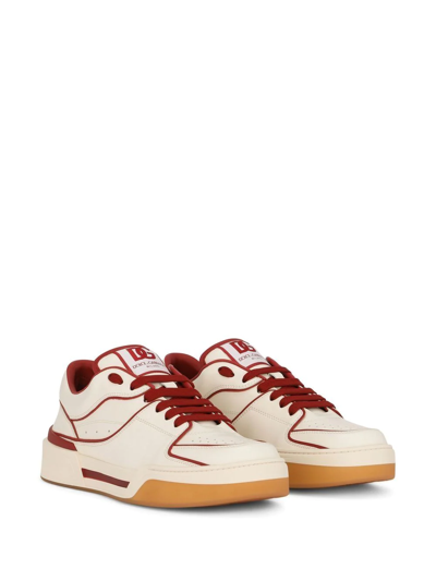 Shop Dolce & Gabbana New Roma Leather Sneakers In Neutrals