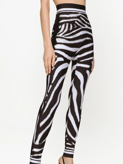 Shop Dolce & Gabbana Zebra Print High-waisted Leggings In Black