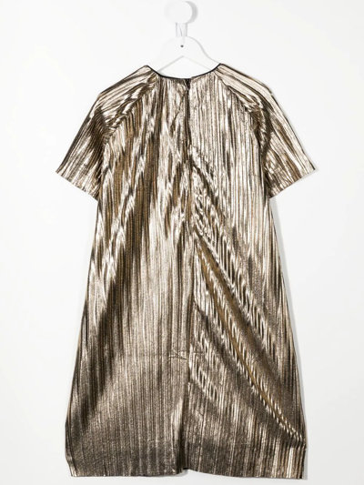 Shop Michael Kors Metallic Pleated Dress In Gold