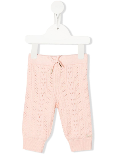Shop Chloé Pointelle-knit Trousers In Pink