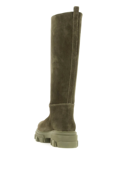 Shop Gia Borghini Tubular Combat Boots In Suede Leather In Khaki