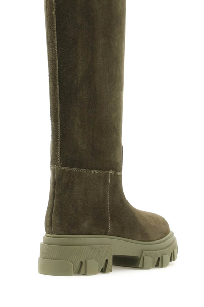 Shop Gia Borghini Tubular Combat Boots In Suede Leather In Khaki