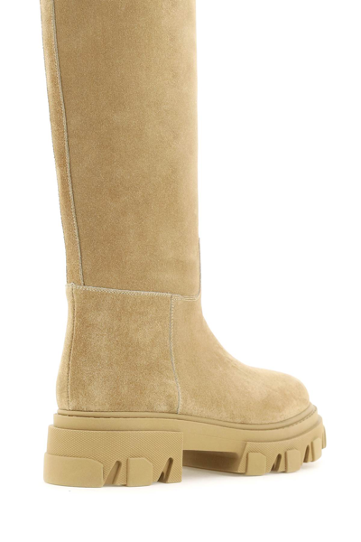 Shop Gia Borghini Tubular Combat Boots In Suede Leather In Beige