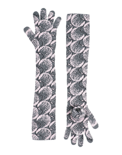 Shop Prada Woman Gloves Grey Size S Virgin Wool, Polyamide