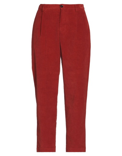 Shop True Nyc Woman Pants Rust Size 28 Cotton, Elastane In Red