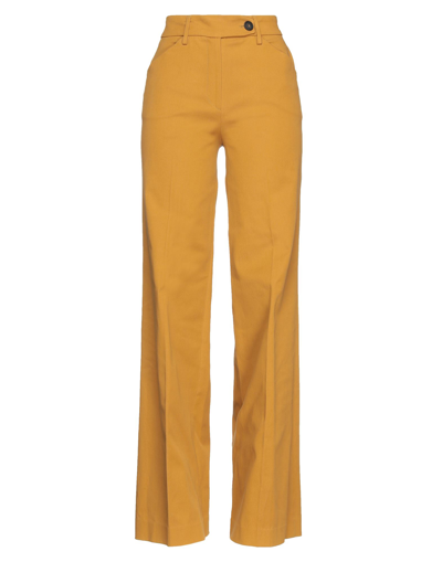 Shop Cattina Woman Pants Ocher Size 4 Cotton, Elastane In Yellow