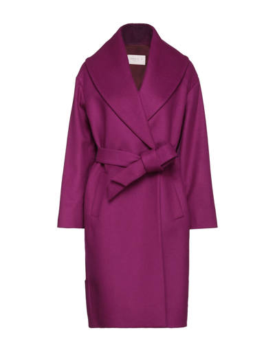 Shop Annie P . Woman Coat Mauve Size 8 Virgin Wool, Polyamide, Cashmere In Purple