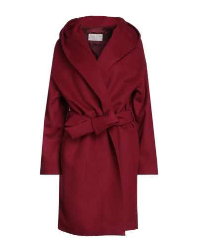 Shop Annie P . Woman Coat Burgundy Size 4 Virgin Wool, Polyamide, Cashmere In Red