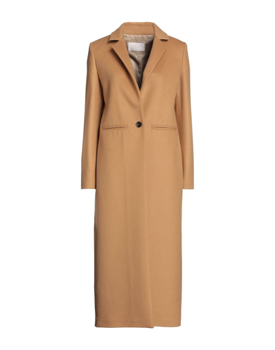 Shop Annie P . Woman Coat Camel Size 12 Virgin Wool, Polyamide, Cashmere In Beige